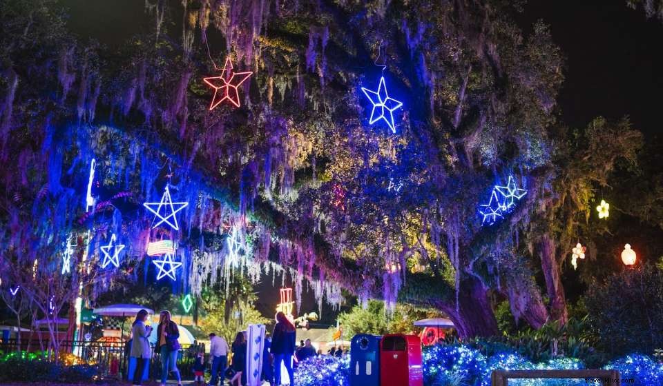 10 Must‑Do December Adventures in New Orleans