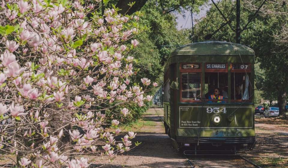 Discover New Orleans: A First‑Time Visitor’s Ultimate Guide