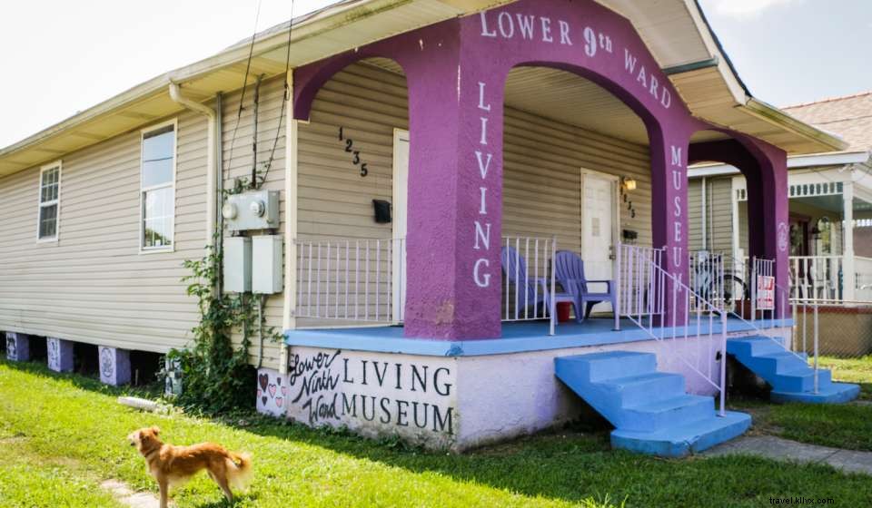 Top 13 New Orleans Museums You Can t Miss