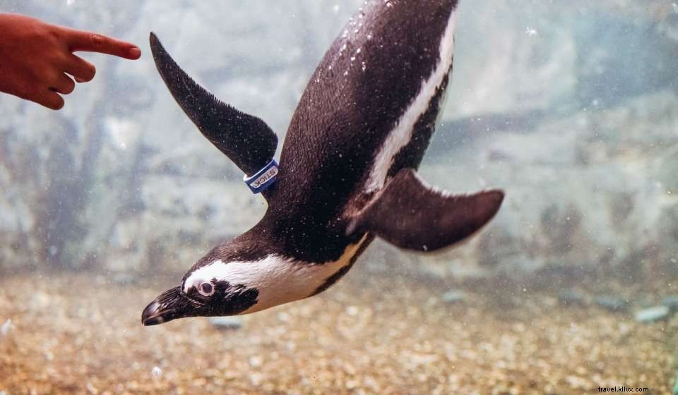 Explore August in New Orleans: 10 Must-Do Events & Activities