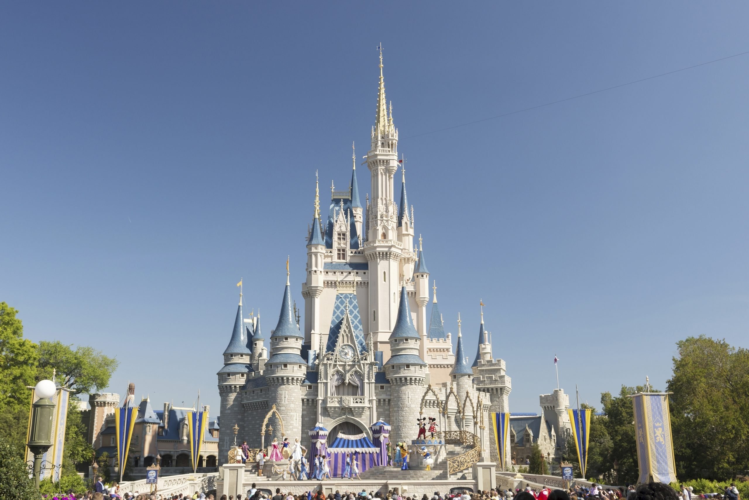 Why Disney World Stays Mosquito-Free: The Secret Behind the Magic