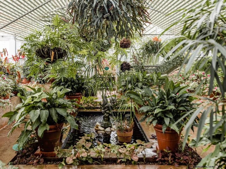 Hills and Dales Estate – LaGrange: Exclusive Aerial Views & Greenhouse Retreat