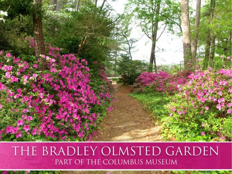 Explore the Columbus Museum: A Journey Through Art, History & Culture