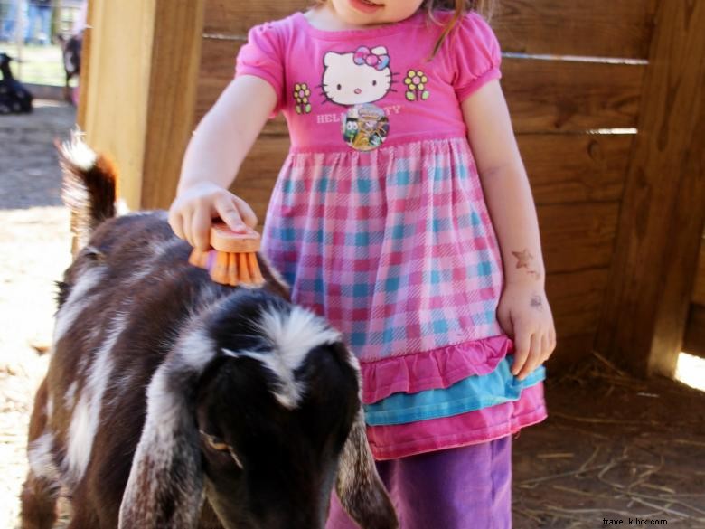 Discover North Georgia Wildlife Park & Safari – Authentic Wildlife Adventures