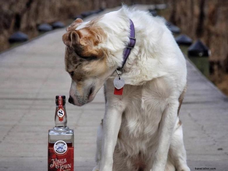 Swamp Fox Distilling Co.: Masterfully Crafted Spirits