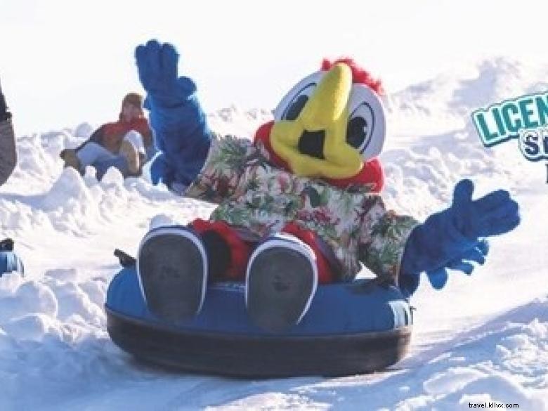 Get Your License to Chill at Snow Island – The Premier Winter Theme Park