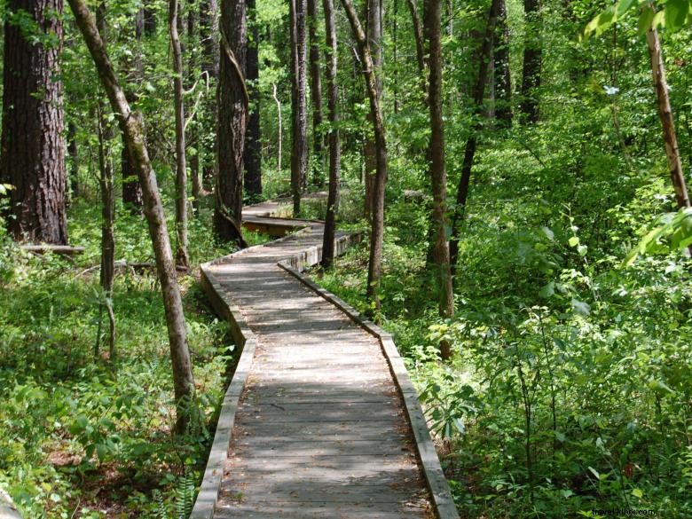 Explore Autrey Mill Nature Preserve & Heritage Center: Historic Gardens & Wildlife