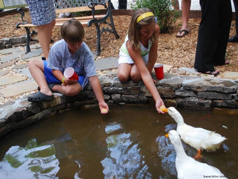 Explore Autrey Mill Nature Preserve & Heritage Center: Historic Gardens & Wildlife