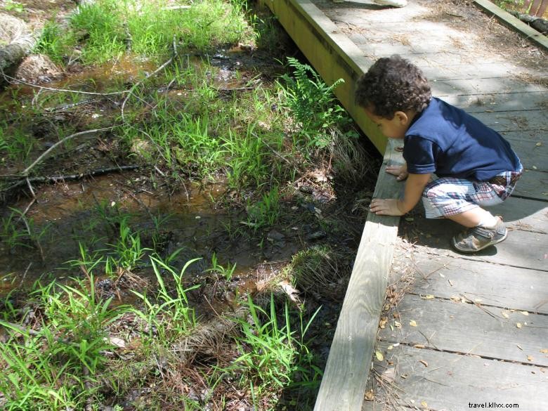 Explore Autrey Mill Nature Preserve & Heritage Center: Historic Gardens & Wildlife