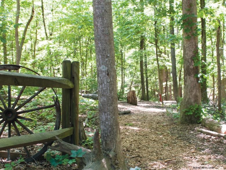 Explore Autrey Mill Nature Preserve & Heritage Center: Historic Gardens & Wildlife
