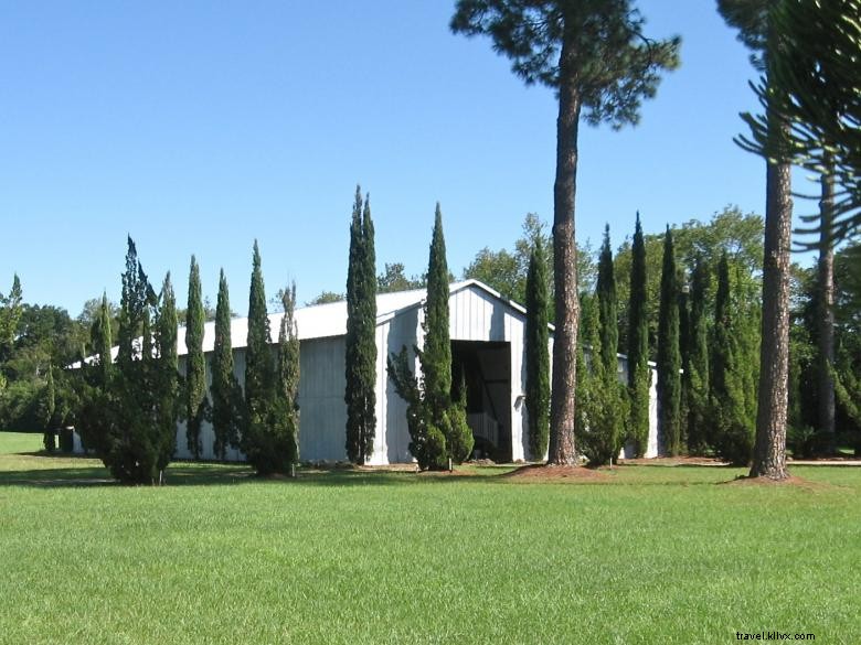 The Center for Arts & Rehabilitative Energies, Inc. – Premier Arts & Wellness Center