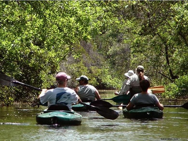 Explore Okefenokee: Your Ultimate Adventure Guide