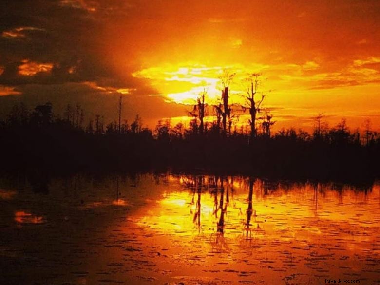 Explore Okefenokee: Your Ultimate Adventure Guide