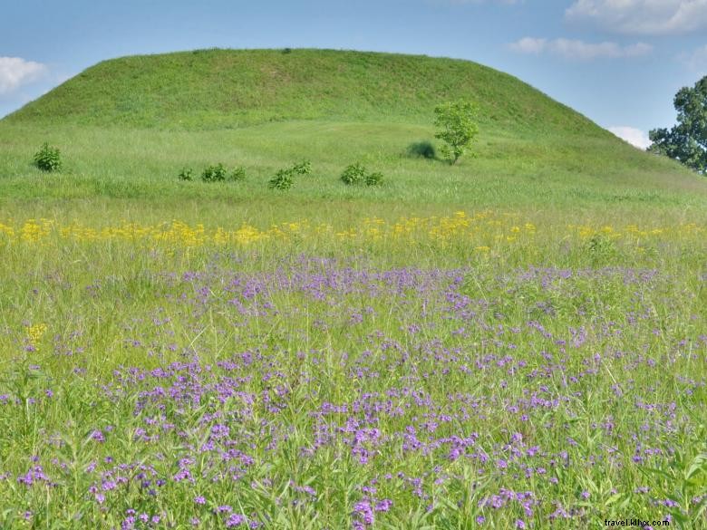 Discover Ocmulgee Mounds National Historical Park – A Historic Journey Through Ancient Earthworks