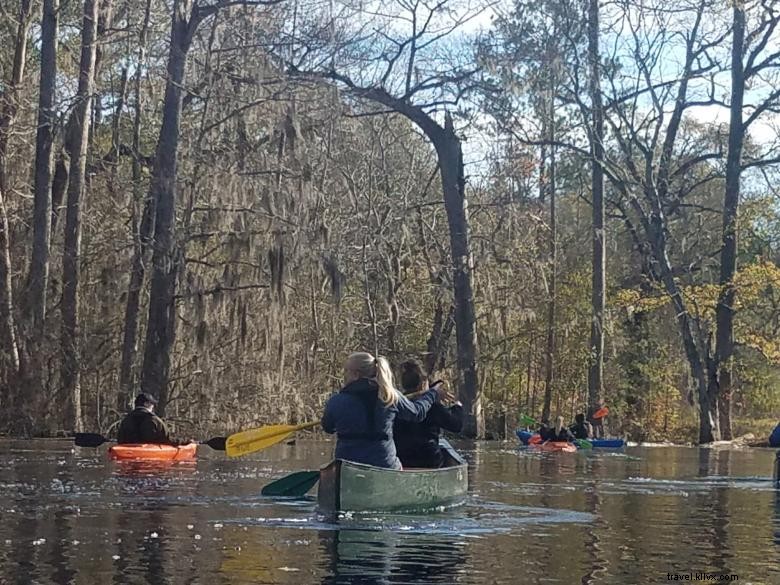 Backwater Expeditions: Discover Serene Journeys