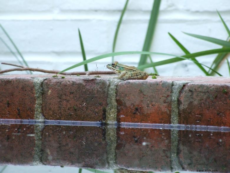 Discover Hickory Hill: 1905 Historic Estate with Watson Family Legacy