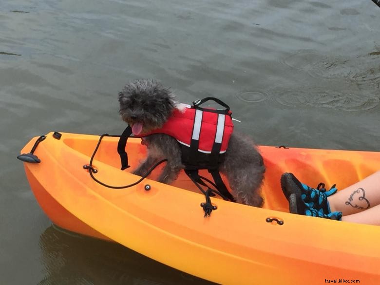 Aqua Dawg Kayak Company: Safeguard Your Pet’s Water Adventures