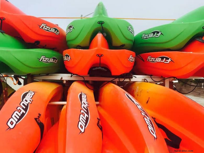 Aqua Dawg Kayak Company: Safeguard Your Pet’s Water Adventures