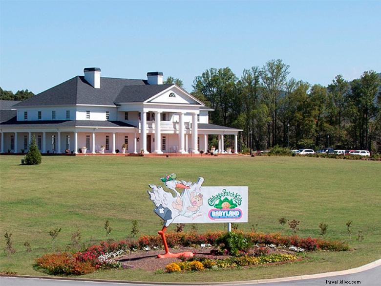 BabyLand General Hospital: Premier Pediatric Care on Granite-Faced Mt. Yonah