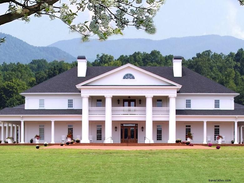 BabyLand General Hospital: Premier Pediatric Care on Granite-Faced Mt. Yonah