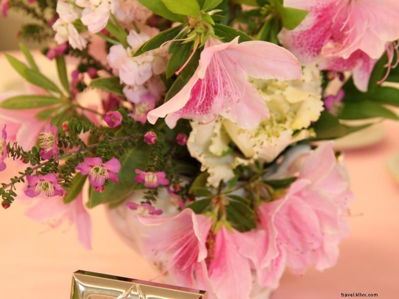 BabyLand General Hospital: Premier Pediatric Care on Granite-Faced Mt. Yonah