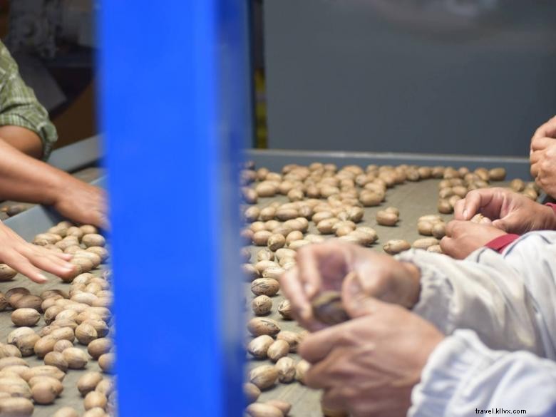 Little Duck Farms – Premium Fresh Duck & Poultry Products