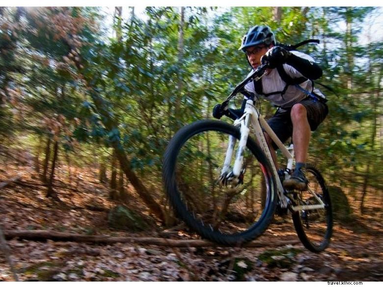Aska Trails Area: 17‑Mile Hiking & Mountain‑Biking Adventure in Blue Ridge, NW Georgia