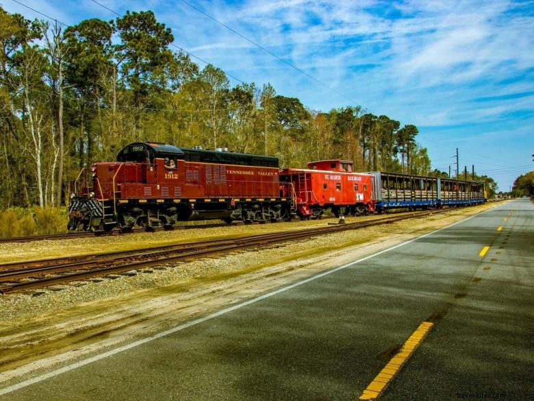 Georgia Coastal Railway: Scenic Steam Excursions & Historic Open-Air Cars