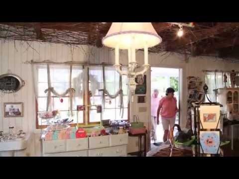 Discover Tranquil Beauty at The Lavender Cottage & Garden