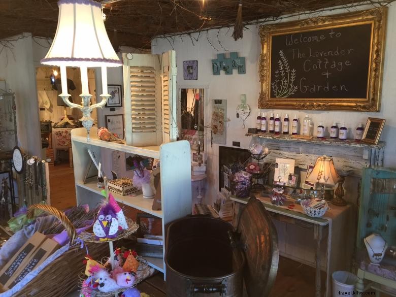 Discover Tranquil Beauty at The Lavender Cottage & Garden