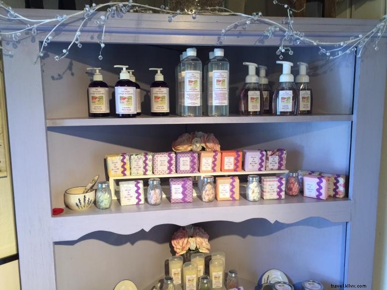 Discover Tranquil Beauty at The Lavender Cottage & Garden