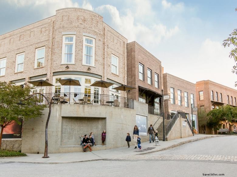 Serenbe: A Sustainable Community for Modern Living