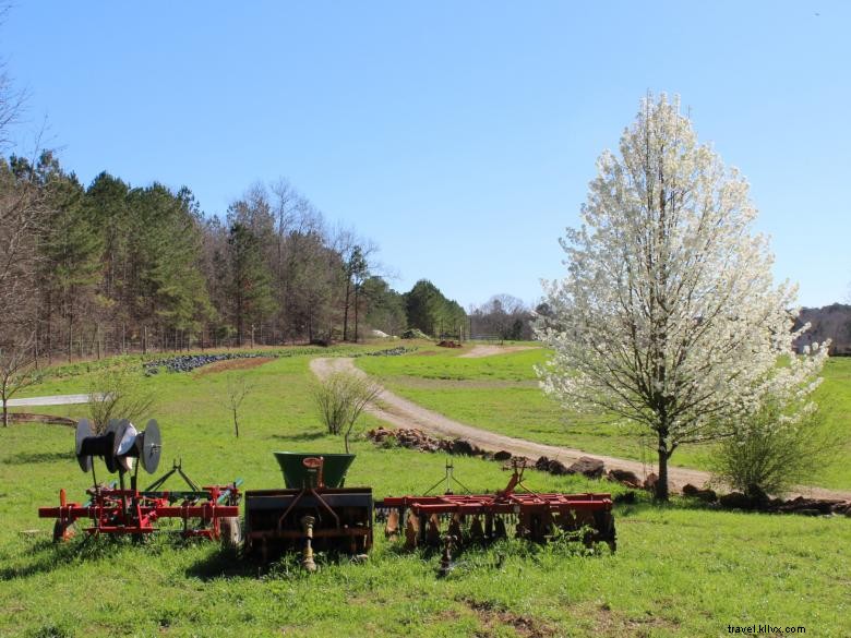 Serenbe: A Sustainable Community for Modern Living