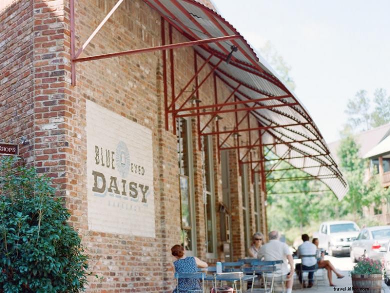 Serenbe: A Sustainable Community for Modern Living