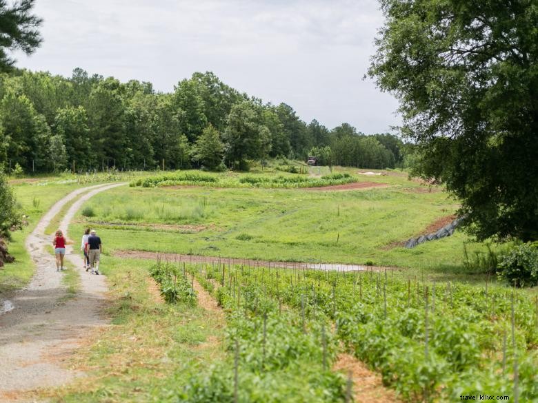 Serenbe: A Sustainable Community for Modern Living