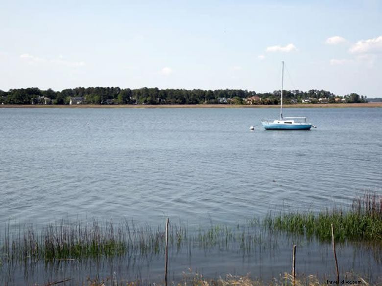 Explore the UGA Marine Education Center & Aquarium – A Premier Oceanic Learning Hub