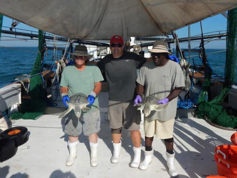 Explore the UGA Marine Education Center & Aquarium – A Premier Oceanic Learning Hub