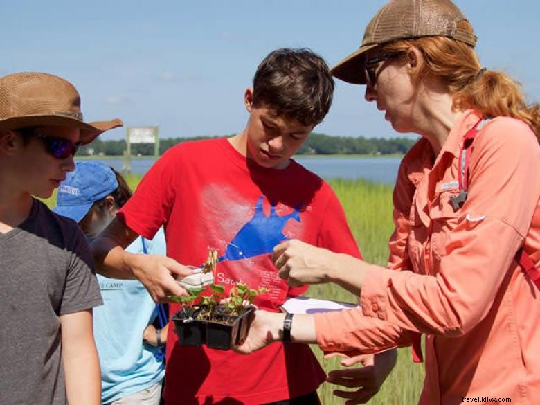 Explore the UGA Marine Education Center & Aquarium – A Premier Oceanic Learning Hub