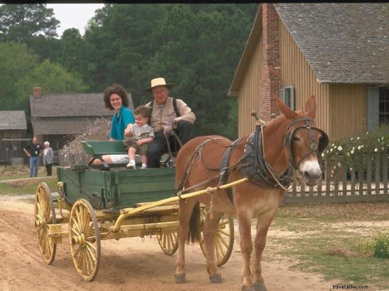 Explore Georgia s Premier Agriculture Museum & Historic Village