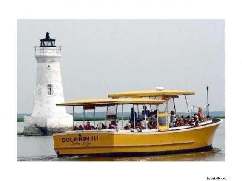 Captain Mike s Dolphin Tours: Expert Guides, Safe & Scenic Ocean Adventures