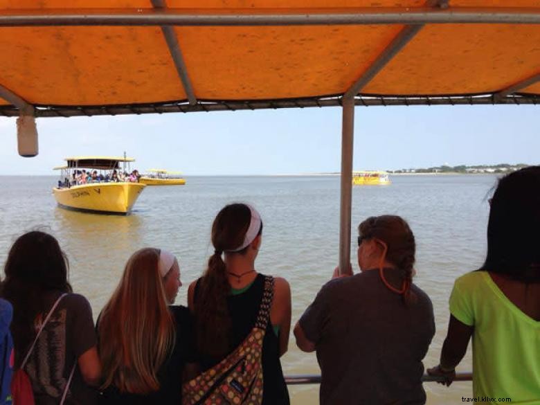 Captain Mike s Dolphin Tours: Expert Guides, Safe & Scenic Ocean Adventures