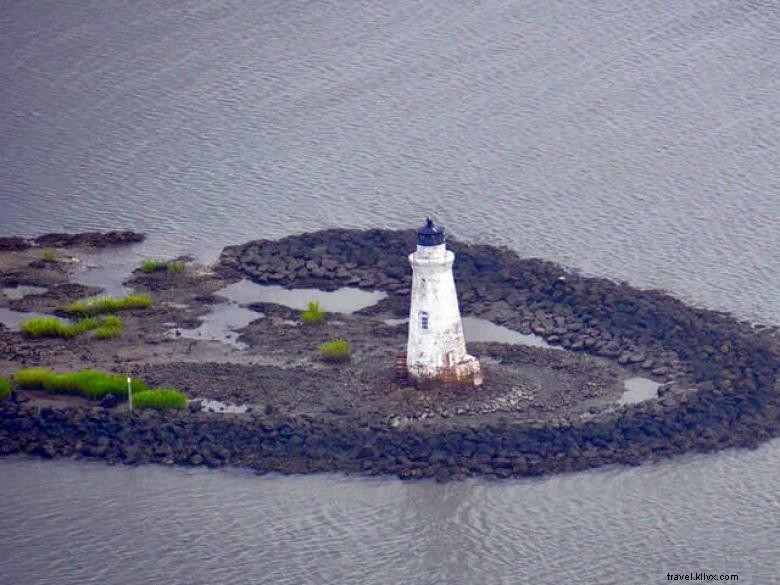 Captain Mike s Dolphin Tours: Expert Guides, Safe & Scenic Ocean Adventures