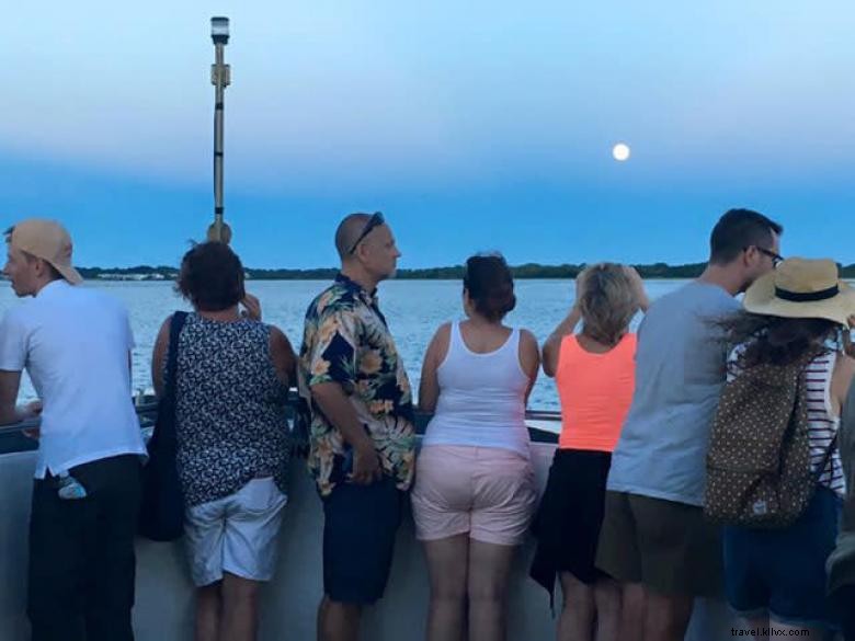 Captain Mike s Dolphin Tours: Expert Guides, Safe & Scenic Ocean Adventures