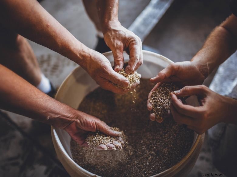 Reformation Brewery – Crafting Quality Beers in Woodstock, GA