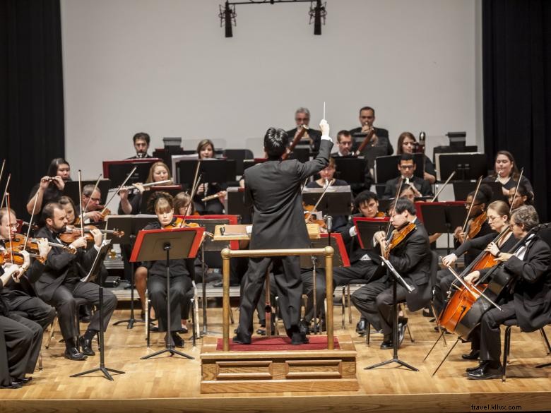 Valdosta Symphony Orchestra: Classical Excellence in Georgia