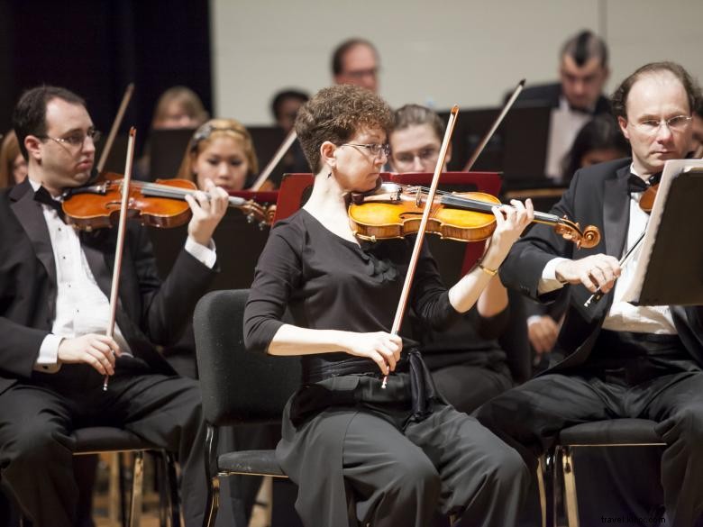 Valdosta Symphony Orchestra: Classical Excellence in Georgia
