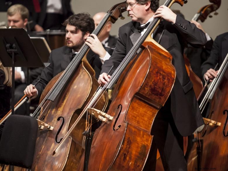 Valdosta Symphony Orchestra: Classical Excellence in Georgia