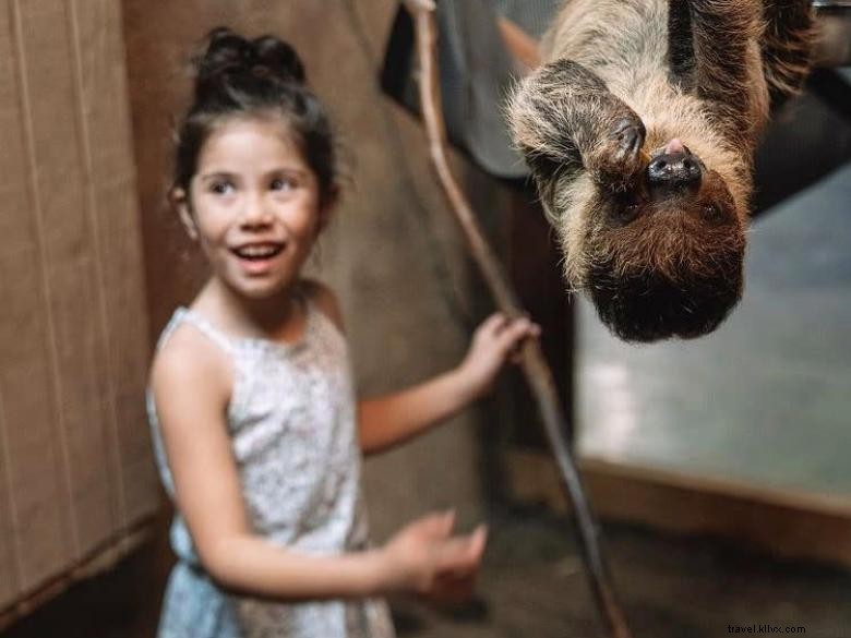 SeaQuest Stonecrest – Premium Property Overview