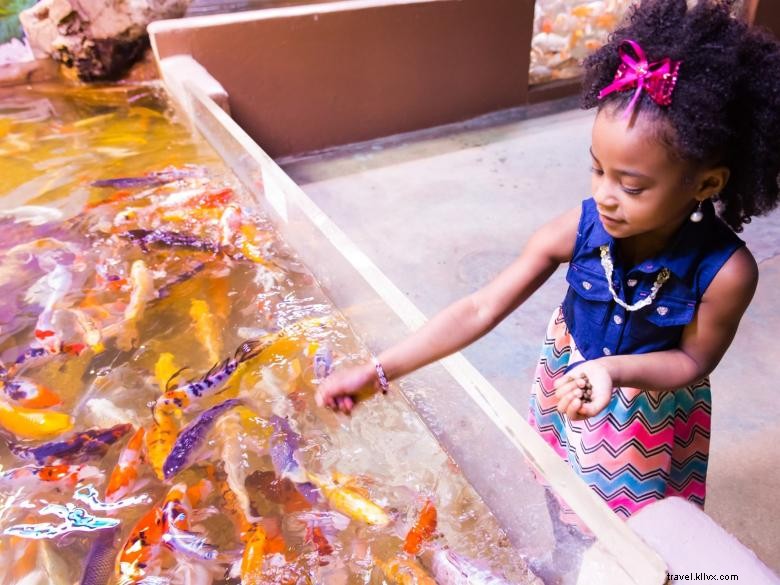 SeaQuest Stonecrest – Premium Property Overview