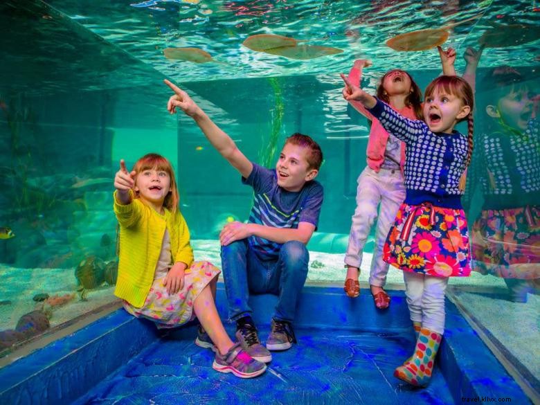 SeaQuest Stonecrest – Premium Property Overview